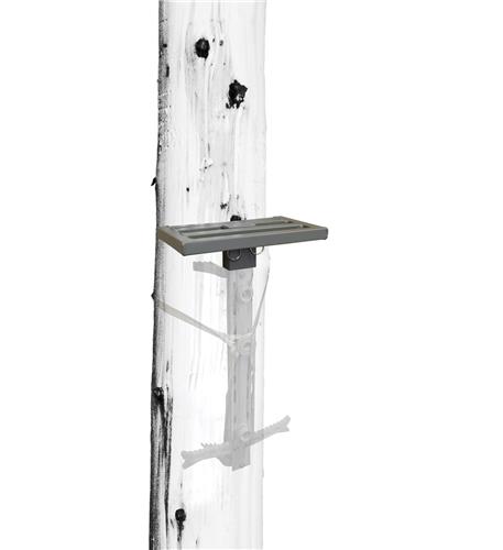 47ba5f03-6de6-47eb-aa89-568bde16199c