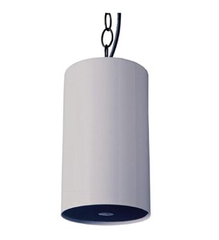 VALCOM Gray Pendant Speaker - Weather-Resistant, High-Efficiency
