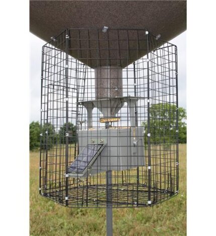 Boss Buck Large Deluxe Varmint Cage for Feeders
