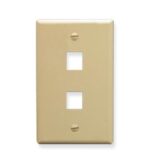 ICC Ivory 1-Gang Flat Faceplate with 2 Ports
