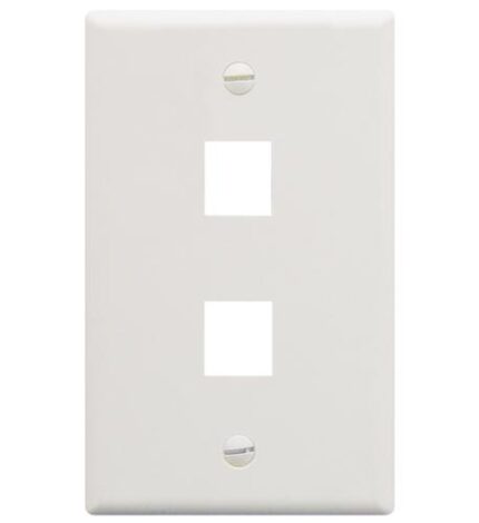 ICC 1-Gang 2-Port White Flat Faceplate for Jacks