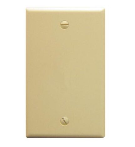 ICC IC630EB0IV Ivory 1-Gang Blank Wall Plate with Screws