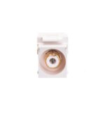 ICC IC107B8GWH Gold Plated RCA IDC Insert Module White - Image 2
