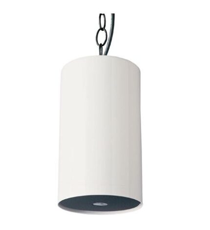 VALCOM 1015B Weather-Resistant Pendant Speaker for Business