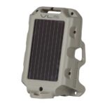 Wild Game Varmint Light Green LED Solar PIR Feeder Light